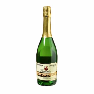 Champagne Santiago Queirolo Botella 750ml