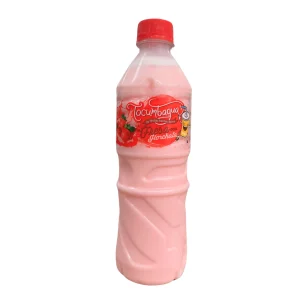 AGUA TOCUMBAGUA 500ML FRESA HORCHATA