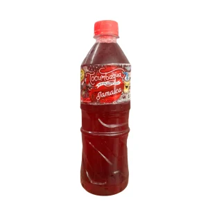 AGUA TOCUMBAGUA 500ML JAMAICA