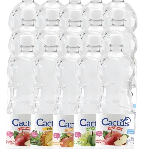 AGUA CACTUS 500ML SURTIDA PAQUETE