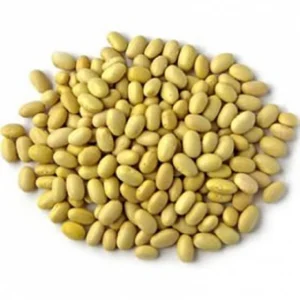 Frijol Camanejo a Granel Bolsa de 250g